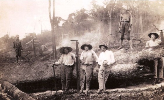 Antepassados em área desmatada